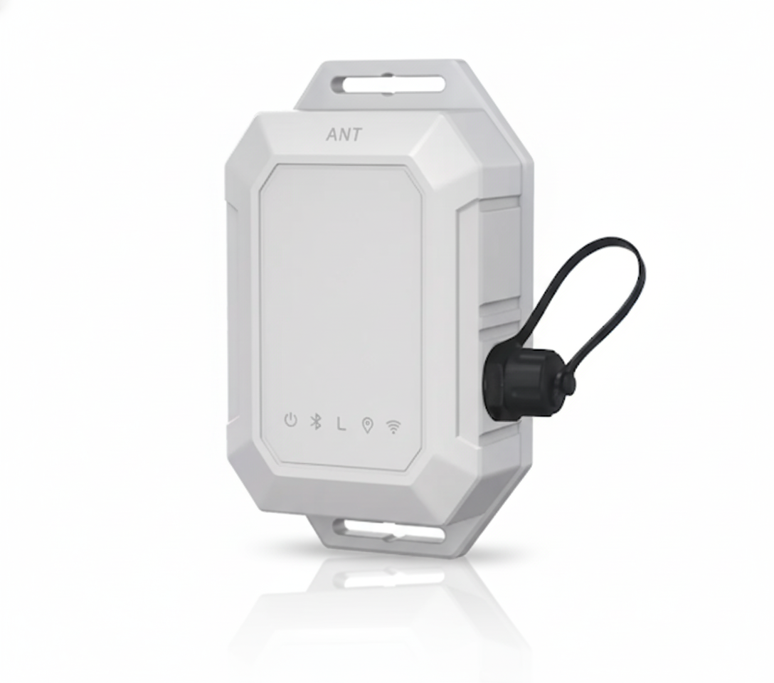 Gemini_Generated_Image_kx7pxrkx7pxrkx7p