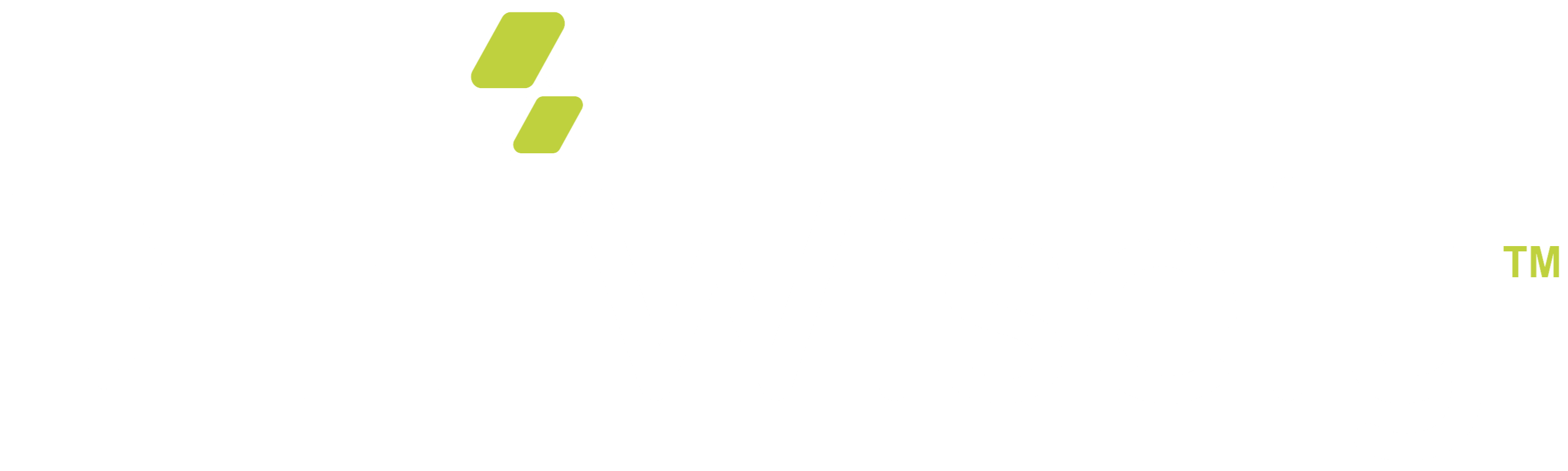 Logo wisely Final (YUY)_Mesa de trabajo 1-02-1